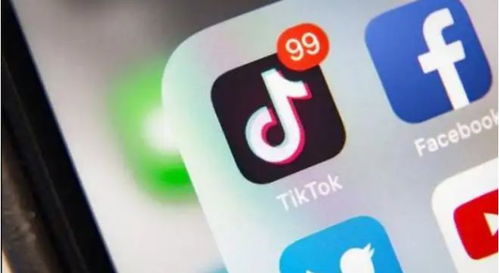 tiktok小店,跨境电商新模式